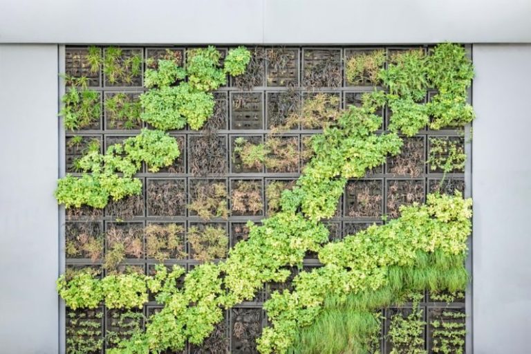 Vertical Garden - painting of crop field